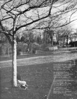 1970-Prelude-069